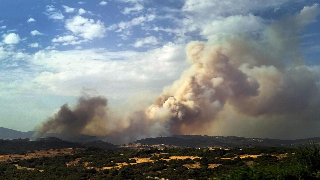 L'incendio nella campagna di Orani <em>(foto Massimo Locci)</em>