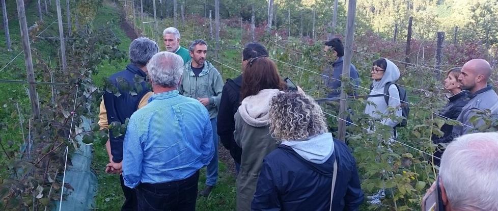 Raccolta dei frutti di bosco: «Previsto un calo del 30 per cento»<br type="_moz" />
