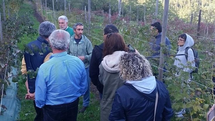 Raccolta dei frutti di bosco: «Previsto un calo del 30 per cento»<br type="_moz" />