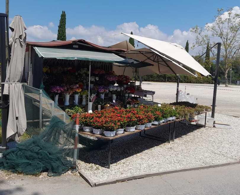 Lucca, ruba i fiori da un negozio e fugge a bordo di una Jaguar<br>
