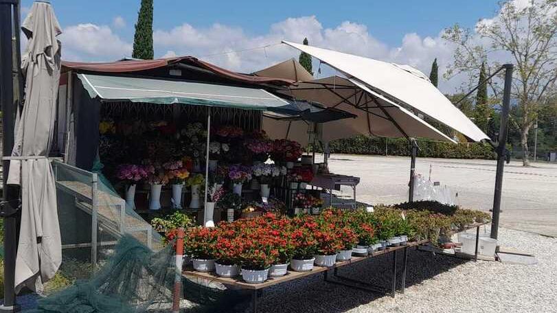 Lucca, ruba i fiori da un negozio e fugge a bordo di una Jaguar<br>