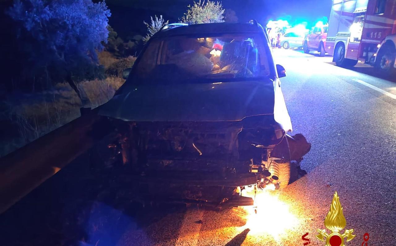 Investe un gregge, scende dall’auto e viene travolto da un pirata della strada: muore un 62enne