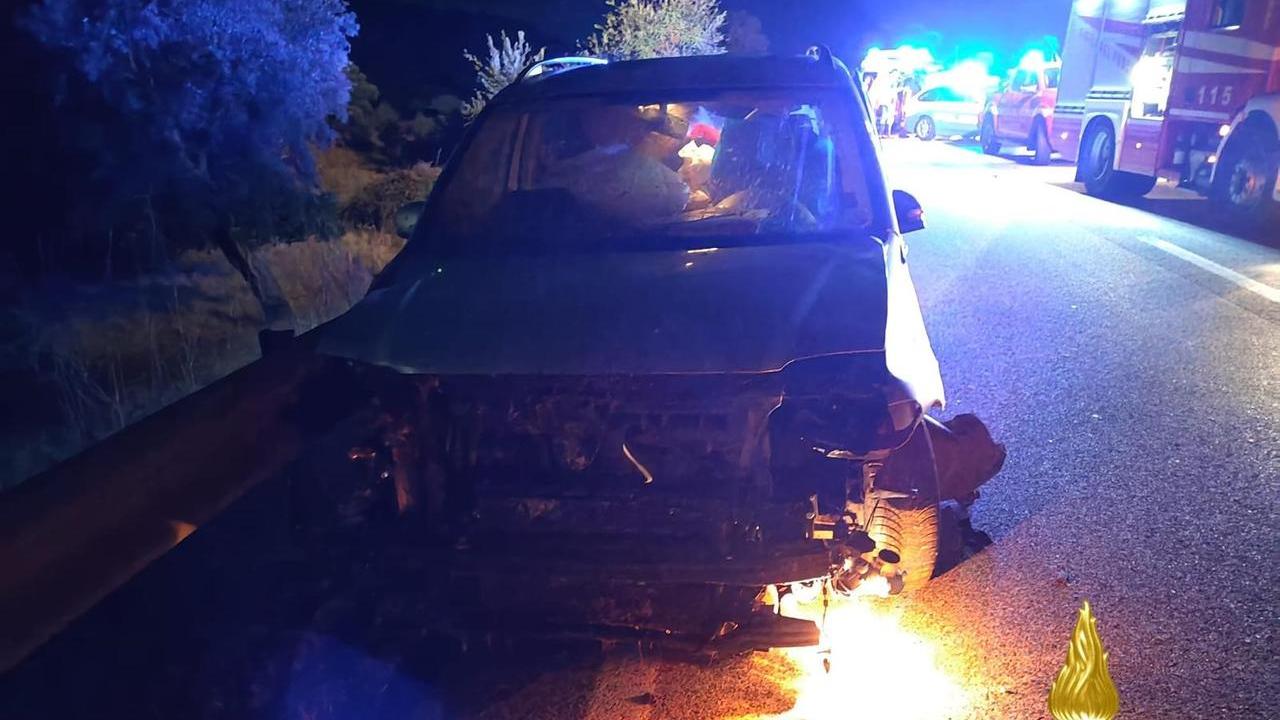 Investe un gregge, scende dall’auto e viene travolto da un pirata della strada: muore un 62enne