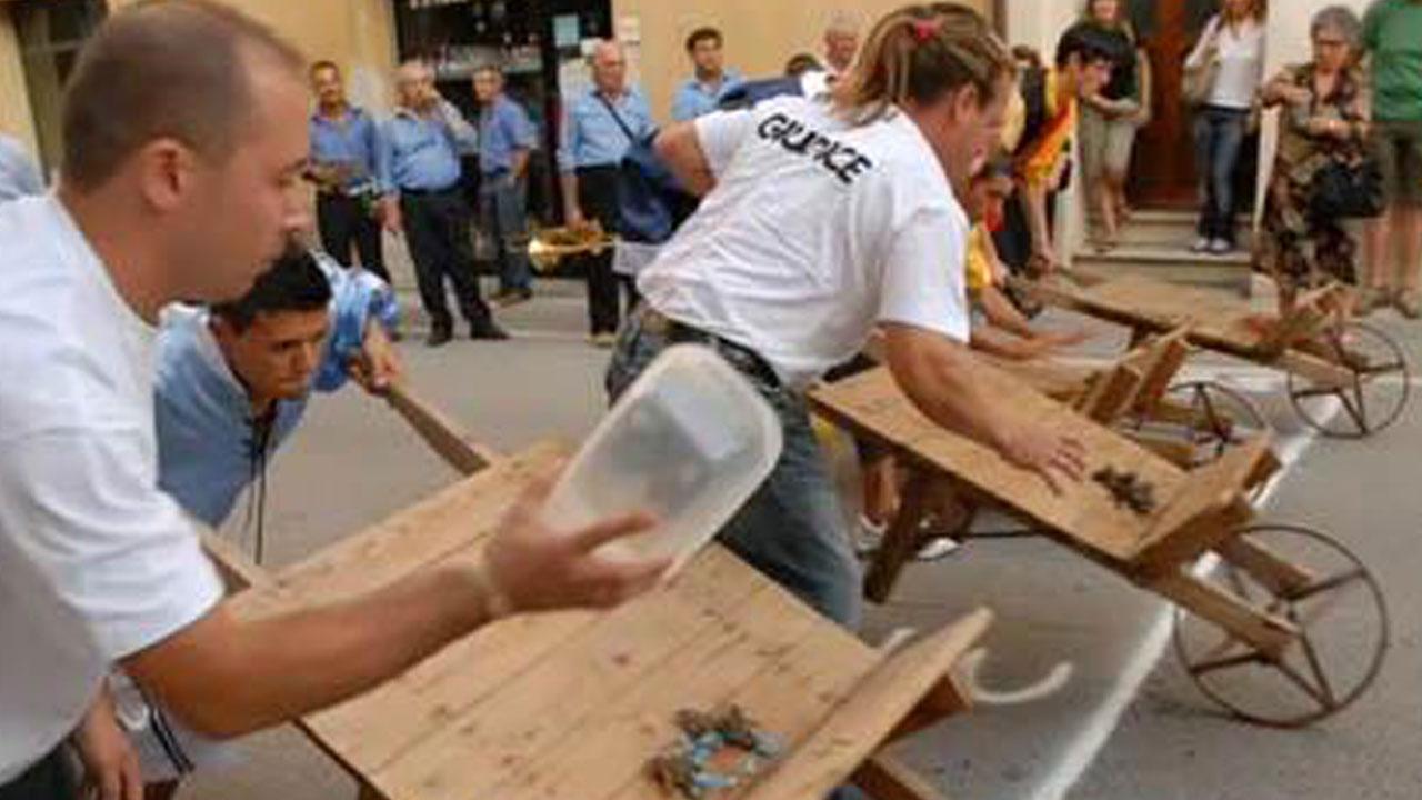 Le rane vive utilizzate in una passata edizione del Palio