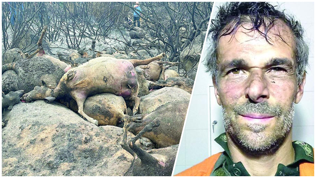 «Sfinito dopo 10 ore di fuoco», Franco Casula a Orotelli racconta la guerra impari dei Forestali