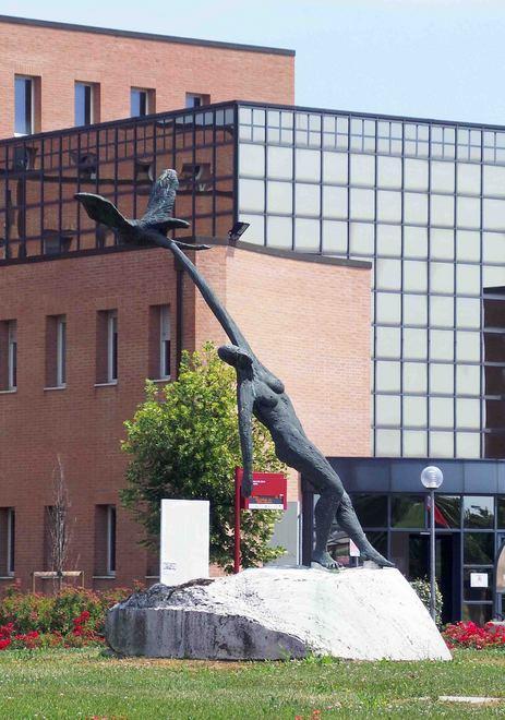 Lavori al Pronto soccorso del Delta 