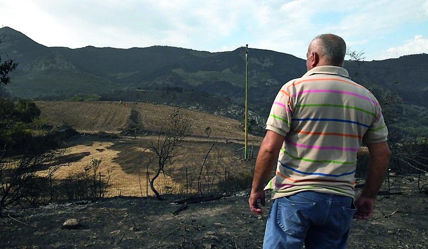 I sindaci del Montiferru: «Creiamo un tavolo regionale, la rinascita delle foreste non può pesare sui Comuni»