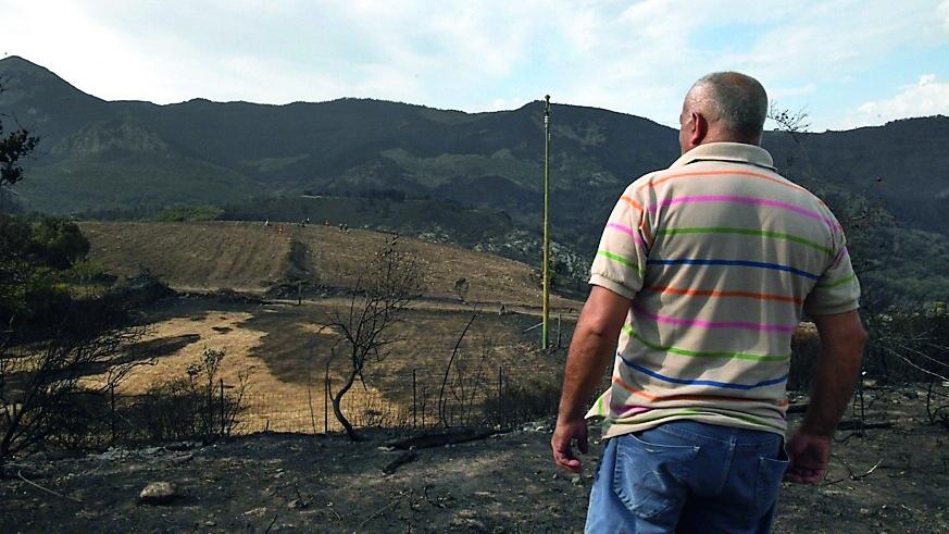 I sindaci del Montiferru: «Creiamo un tavolo regionale, la rinascita delle foreste non può pesare sui Comuni»