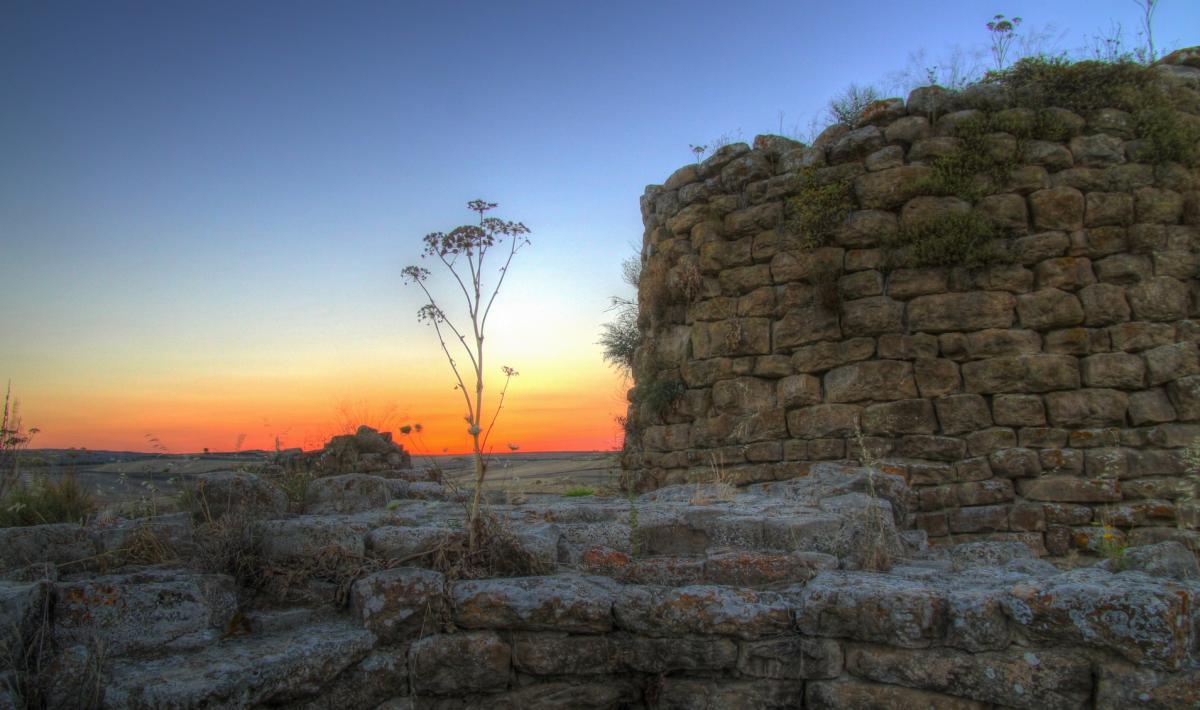 
	Un panorama di Suelli

