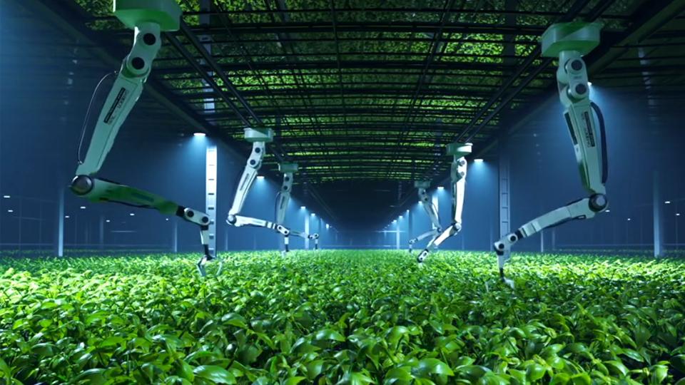 Nel settore agroalimentare carriere smart e ben retribuite con i percorsi di alta formazione di Fondazione Its-Eat Academy