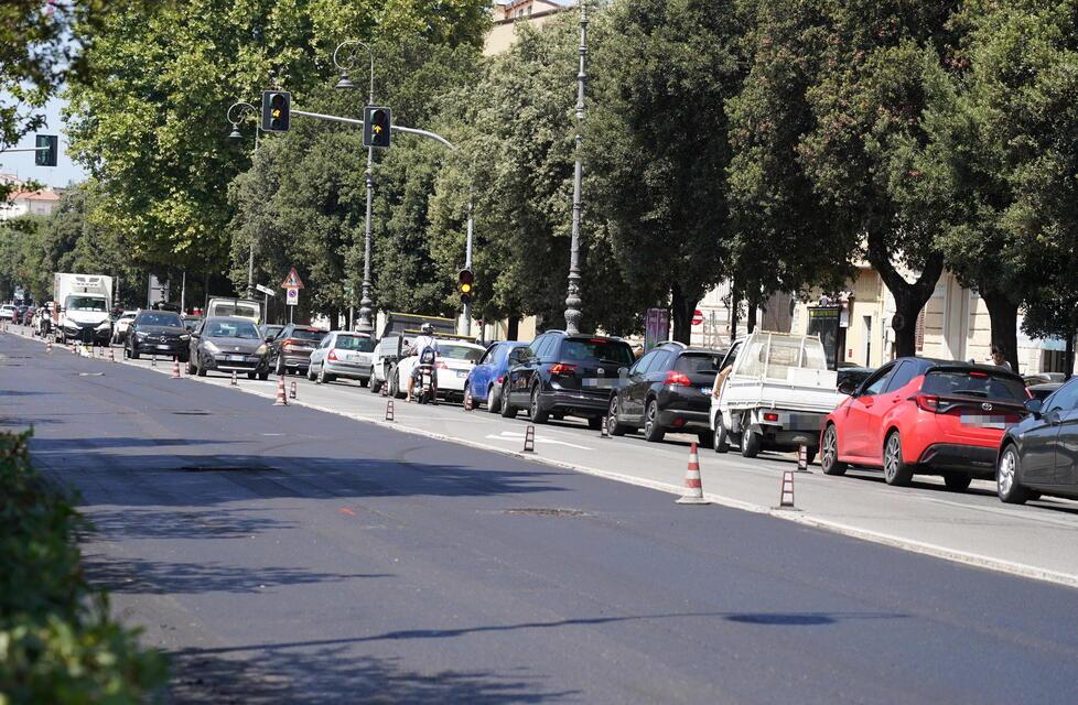 
	Da luned&igrave; sul viale Carducci si viaggia su una corsia unica nelle due direzioni

