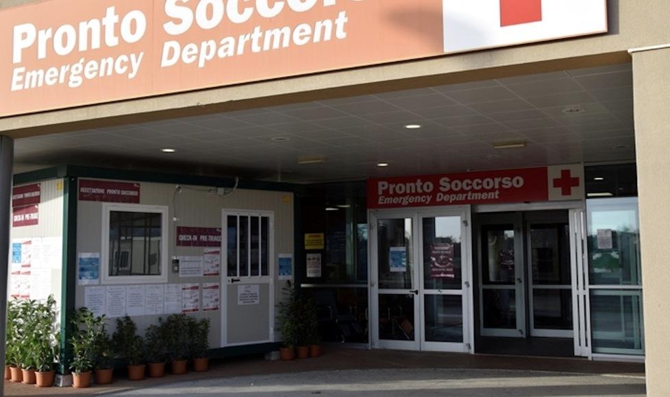 Elba, interviene per difendere un’anziana morsa da un cane e il proprietario lo prende a calci e pugni