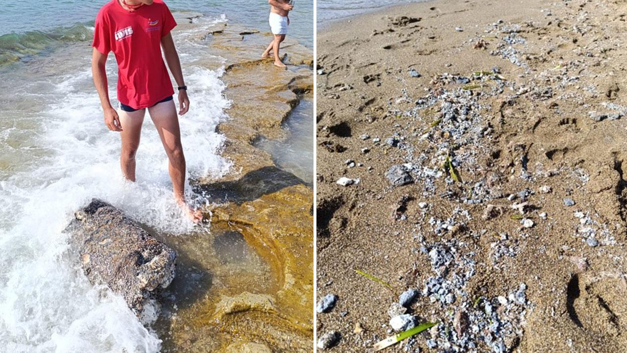 L’ammasso spiaggiato sugli scogli di Baratti all’altezza della Perla (foto Paolo Barlettani)
