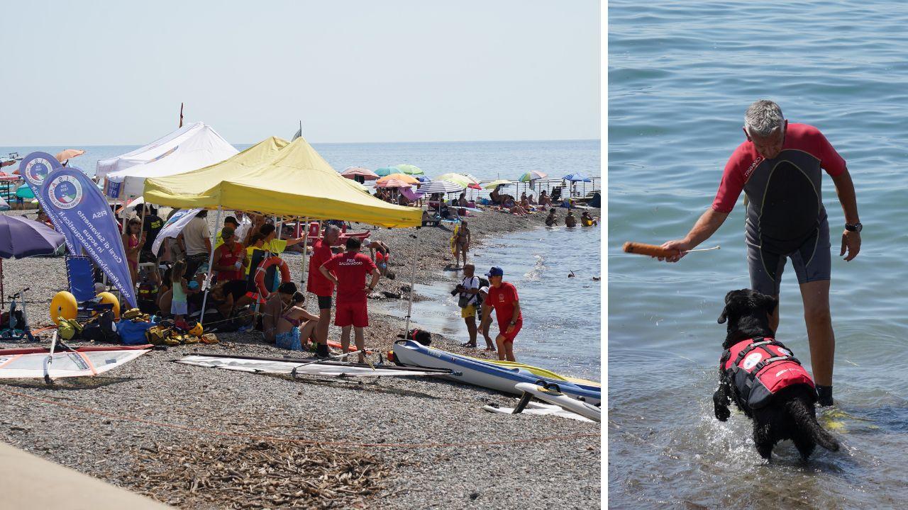 Livorno, in mare ci si salva così: ai 3 Ponti dimostrazioni pratiche con sup, cani e moto d’acqua