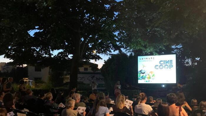 Carrara, Cinema all’aperto: spettatori “innaffiati”