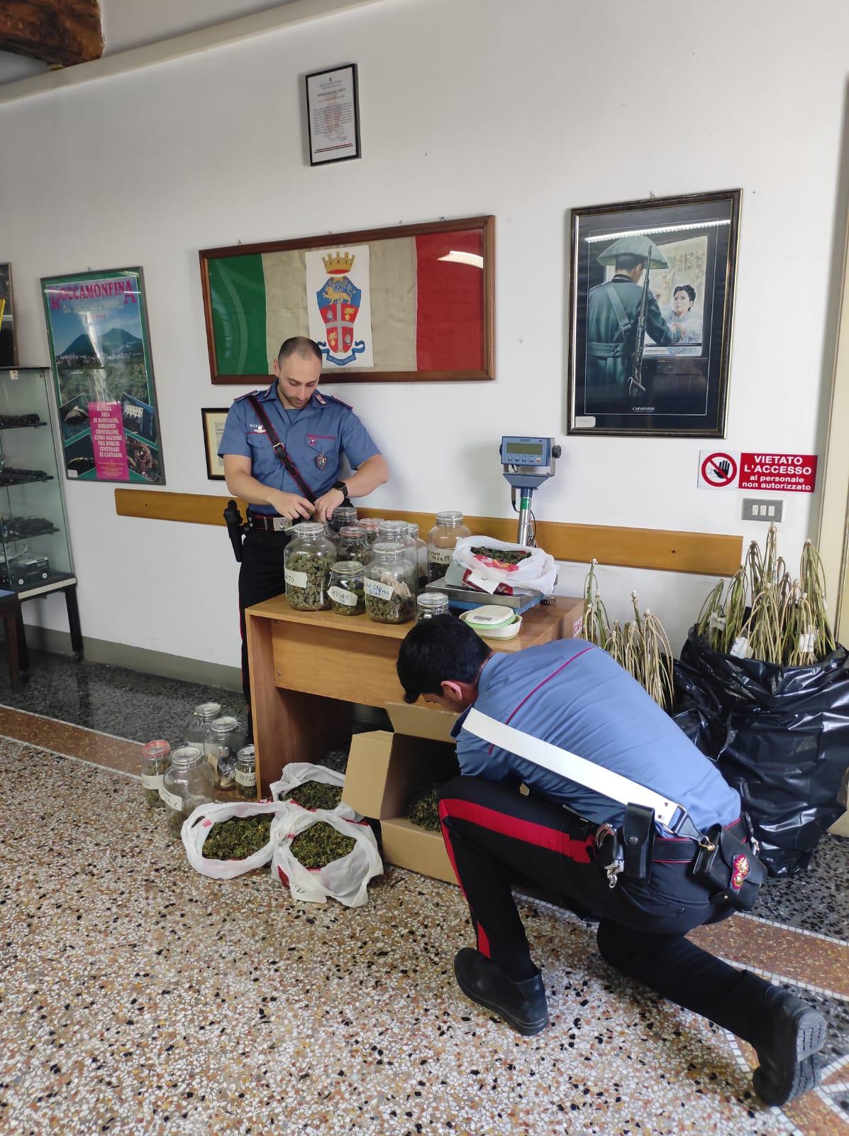 Capannori, coltivavano marijuana: coppia in manette