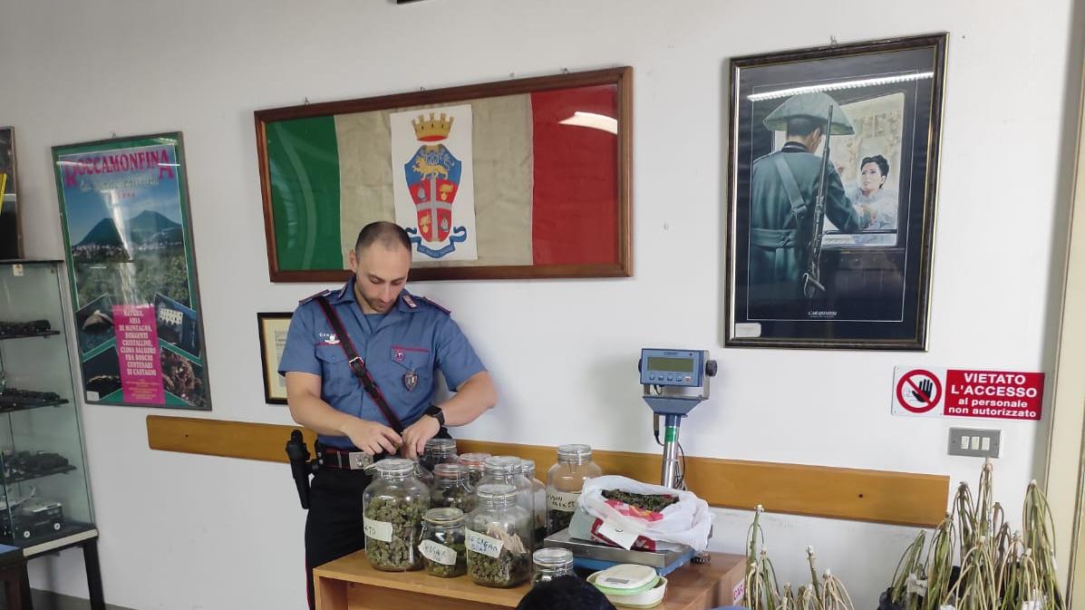 Capannori, coltivavano marijuana: coppia in manette