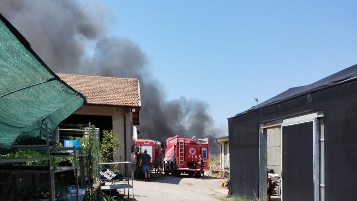 Incendio all’Eurogarden Soliera, a fuoco centinaia di quintali di legna