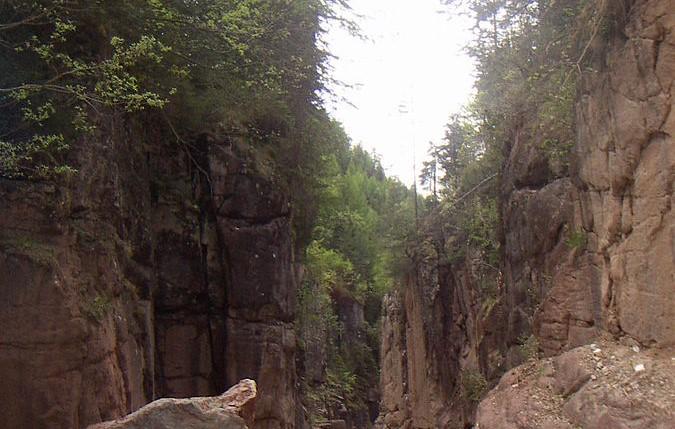 Precipita da un albero, grave uno scout di Carpi di 17 anni