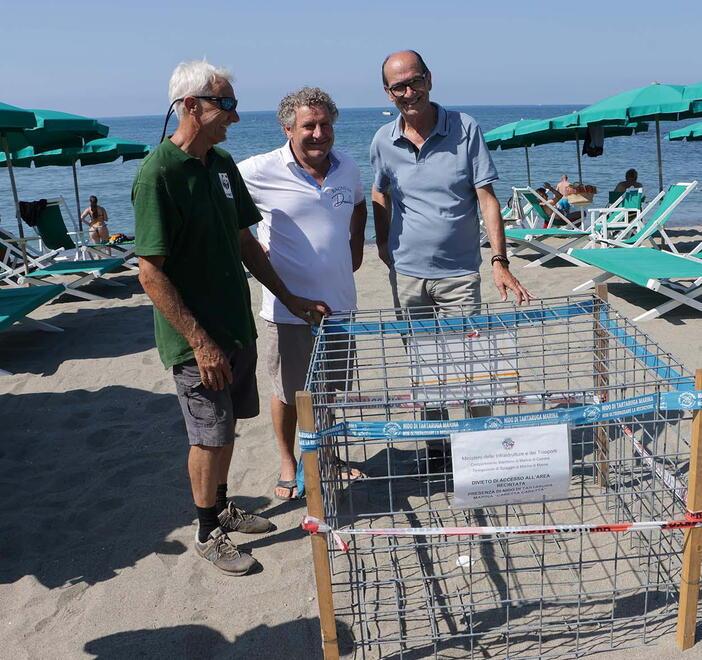 L’ultimo nido è stato trovato al Bagno La Romanina