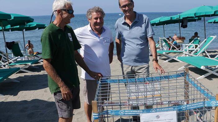 L’ultimo nido è stato trovato al Bagno La Romanina