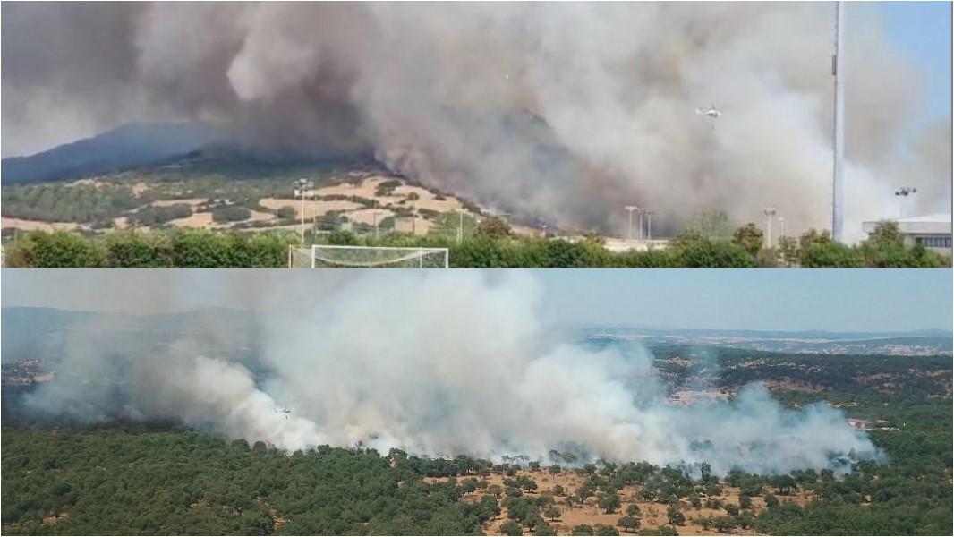 
	Gli incendi di Nuoro e Isili&nbsp;

