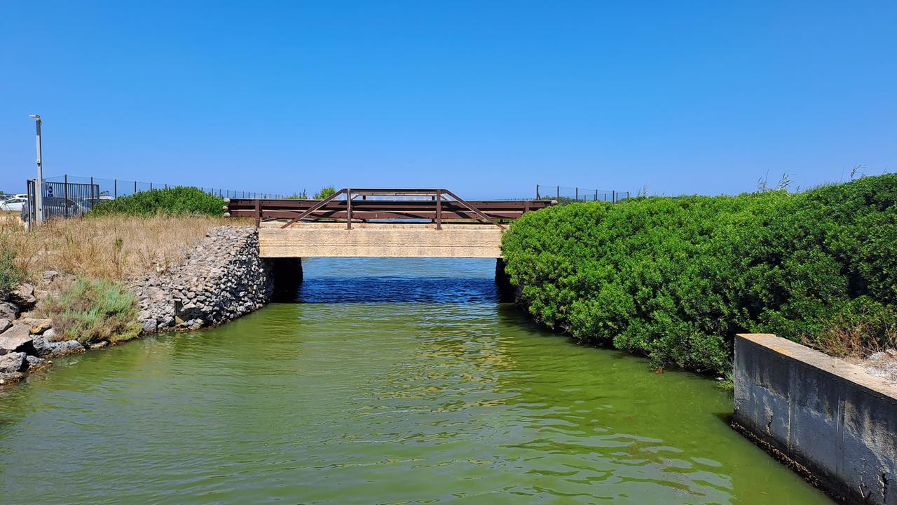 Terralba, dopo la rivolta dei pescatori di Marceddì: al via sopralluogo per il dragaggio di Corru s’Ittiri