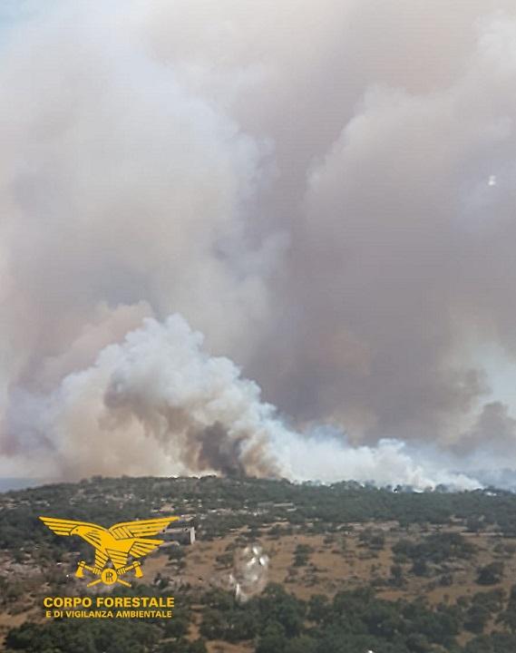 Abbasanta, fiamme minacciano la statale 131