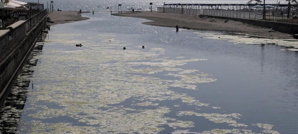 
	Il fosso dell&rsquo;Abate fra Viareggio e Lido infestato da alghe proliferate per il caldo<br />
	&nbsp;

