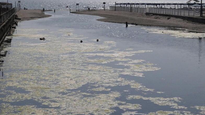 Il fosso dell’Abate fra Viareggio e Lido infestato da alghe proliferate per il caldo<br />
