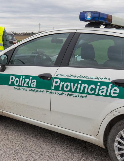 Occhiobello, prima le zanzare poi i caprioli