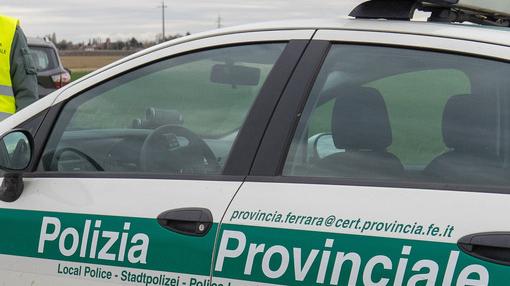 Occhiobello, prima le zanzare poi i caprioli