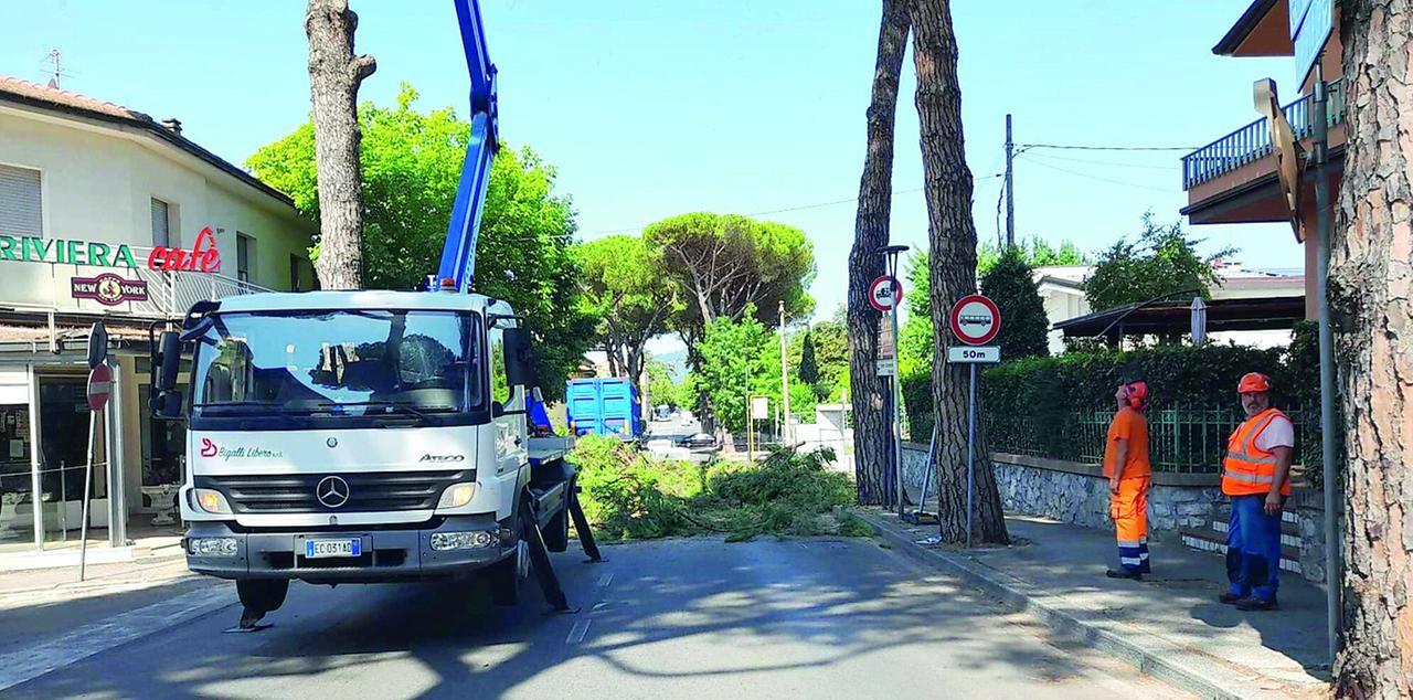 
	Un momento dell'intervento

