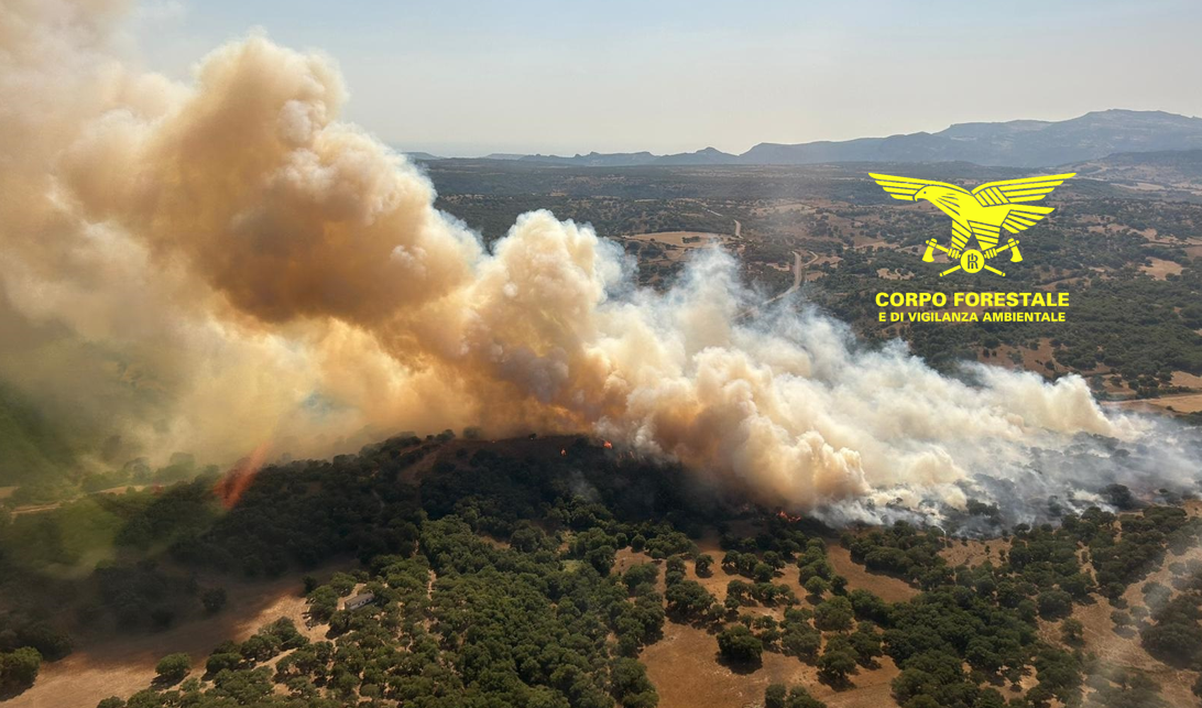 L’isola continua a bruciare: ecco il bollettino con tutti i roghi divampati martedì 30 luglio