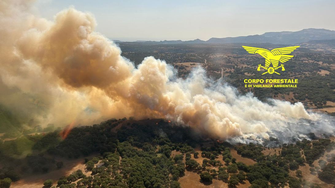 L’isola continua a bruciare: ecco il bollettino con tutti i roghi divampati martedì 30 luglio