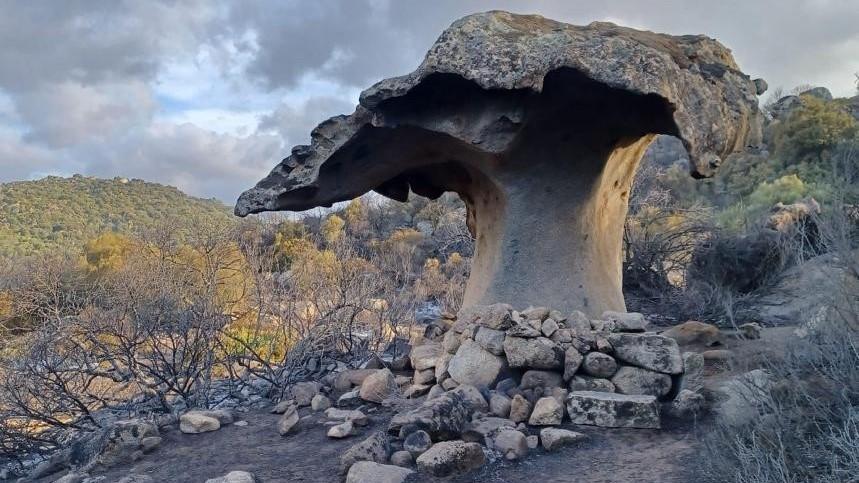 Il grande cuore di Orotelli: una raccolta fondi per gli allevatori messi in ginocchio dai roghi