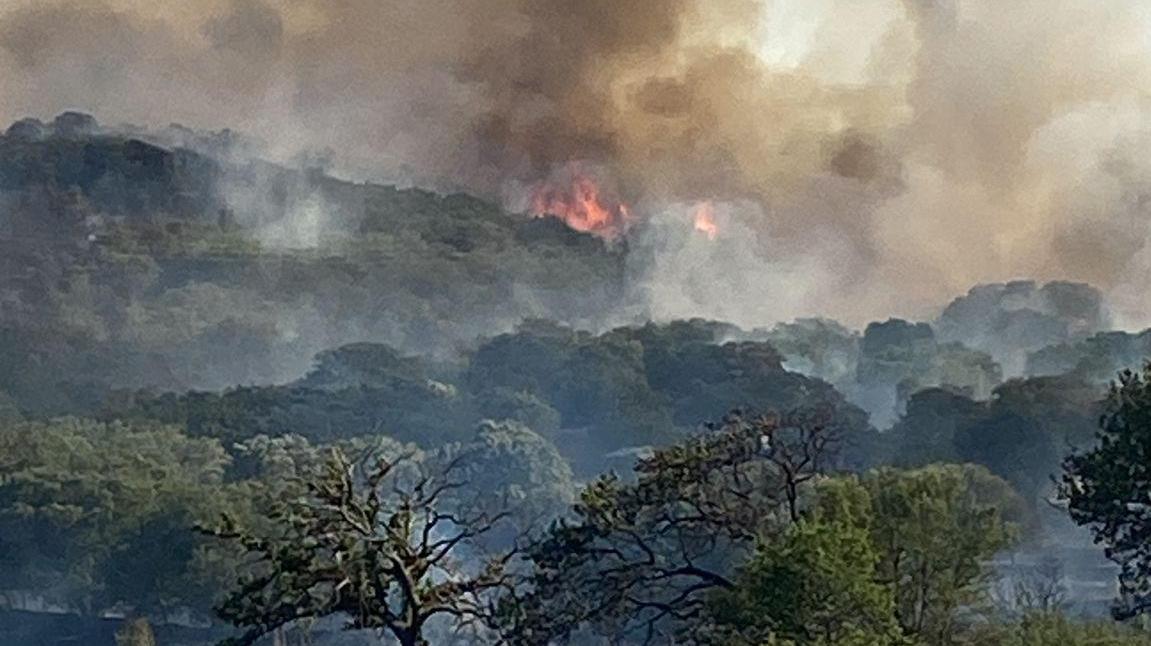 Pozzomaggiore, vasto incendio devasta le campagne