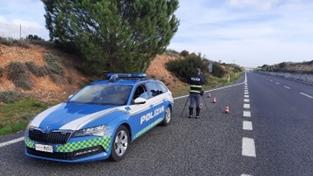 Agenti della polizia stradale impegnati in attività di controllo