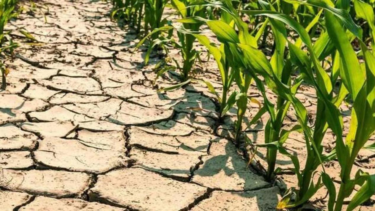 «Earth Overshoot Day, oggi l'umanità ha ufficialmente esaurito tutte le risorse naturali di un anno»