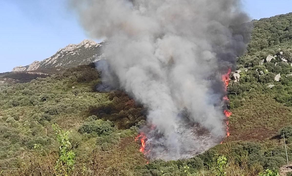 Ancora fiamme a Calangianus: intervengono due elicotteri