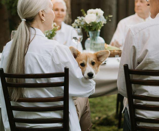 Animali, la Regione paga le spese di adozione ad anziani e disabili