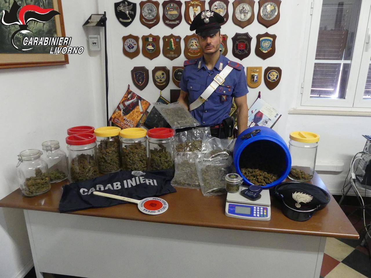 
	La marijuana sequestrata dai carabinieri

