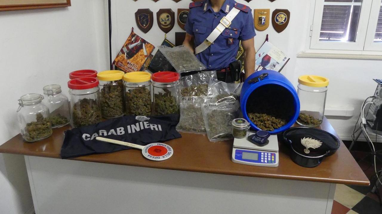 La marijuana sequestrata dai carabinieri
