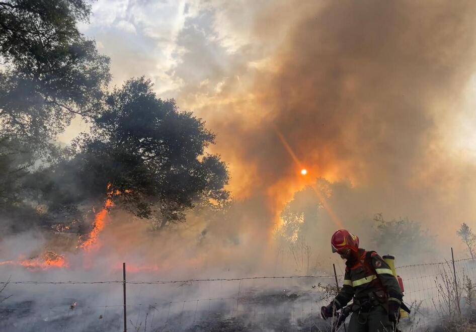 La Sardegna in fiamme, in quattro mesi bruciati 8mila ettari