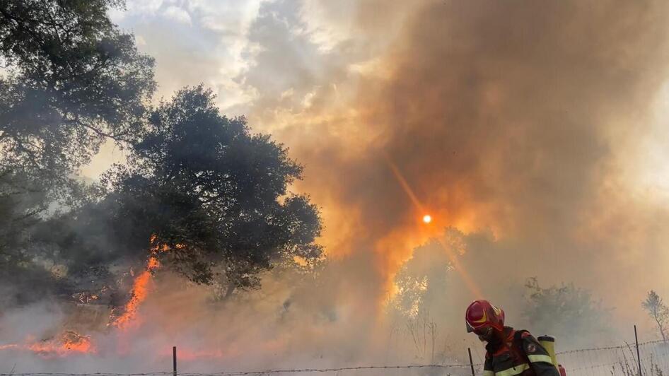 La Sardegna in fiamme, in quattro mesi bruciati 8mila ettari