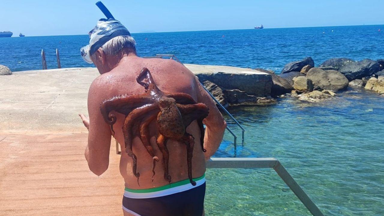 Livorno, lo strano tuffo di Massimo: «Un polpo mi è salito sulla schiena, ma poi...»