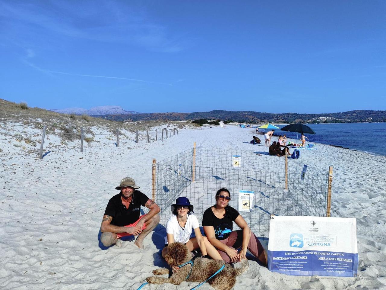 
	Il nido di Caretta caretta sulla spiaggia di Capo Comino

