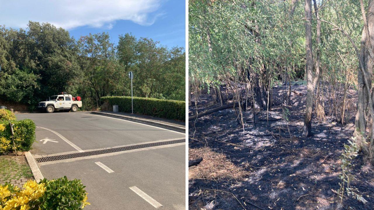 A destra il sottobosco bruciato e a sinistra l'area vicina alle case