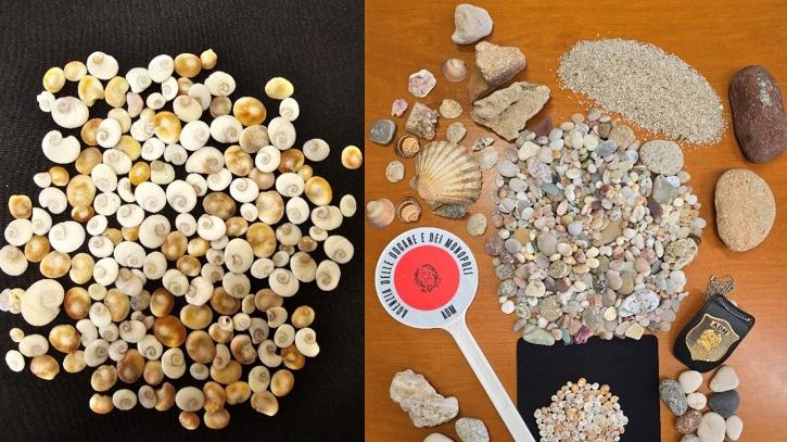 Olbia, sequestrati al porto oltre 120 chili di sassi e conchiglie