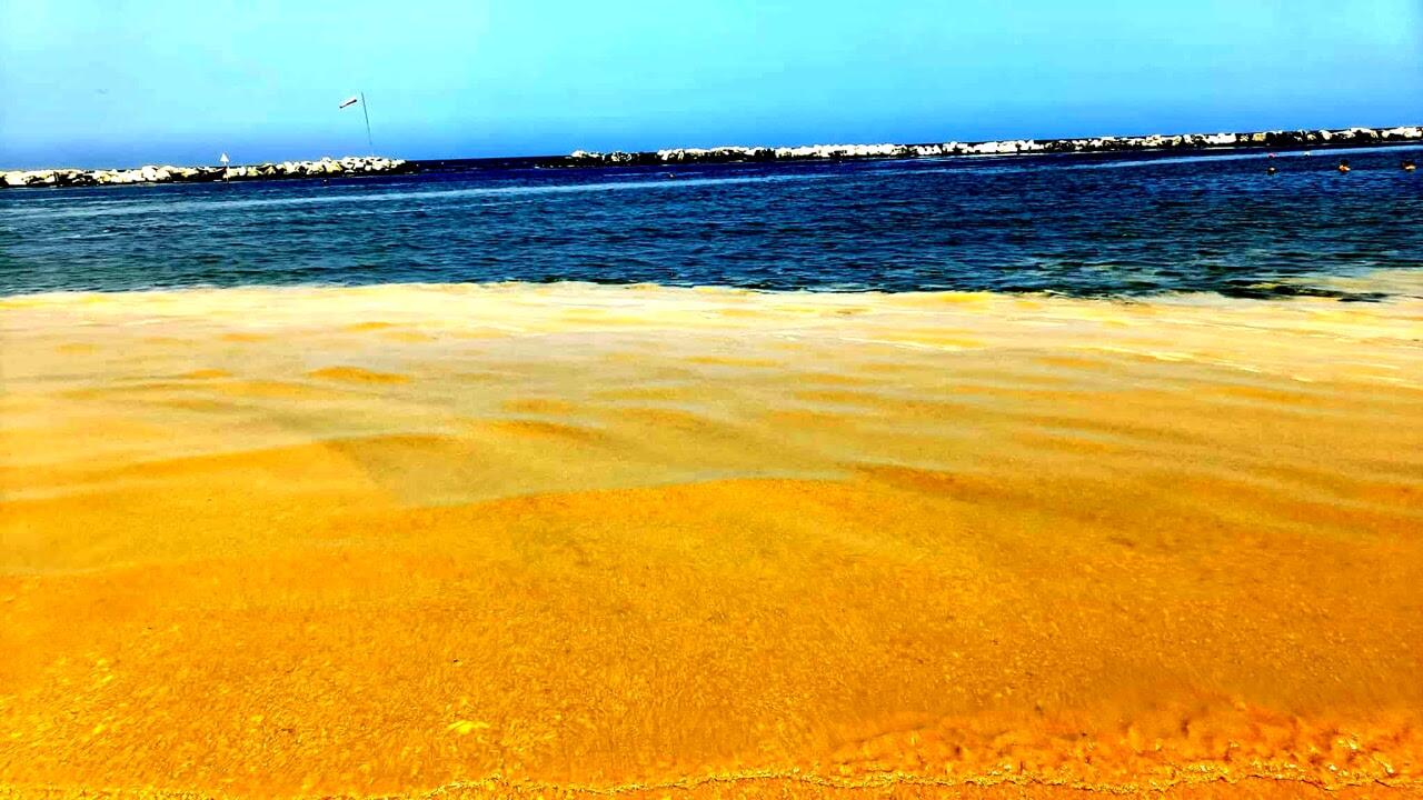 
	Mucillagine in Adriatico

